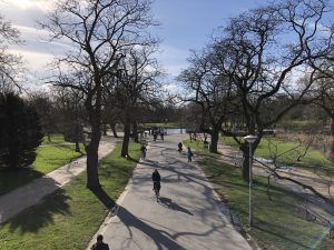 Tourist information: Vondelpark