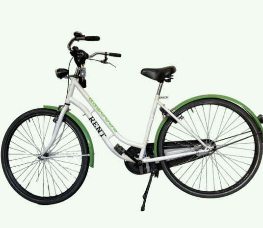 Home 1 fiets zij 768x667 1