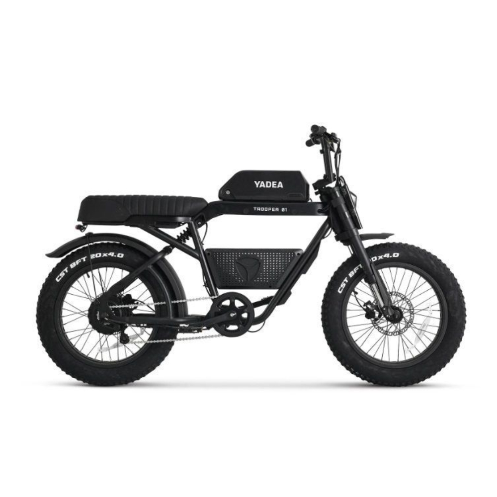 Fat E-Bike Rental
